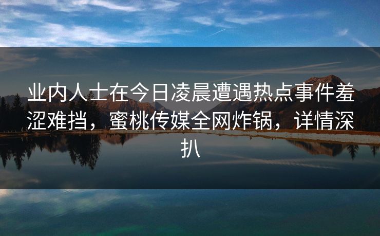 业内人士在今日凌晨遭遇热点事件羞涩难挡，蜜桃传媒全网炸锅，详情深扒