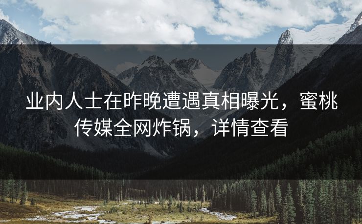 业内人士在昨晚遭遇真相曝光，蜜桃传媒全网炸锅，详情查看