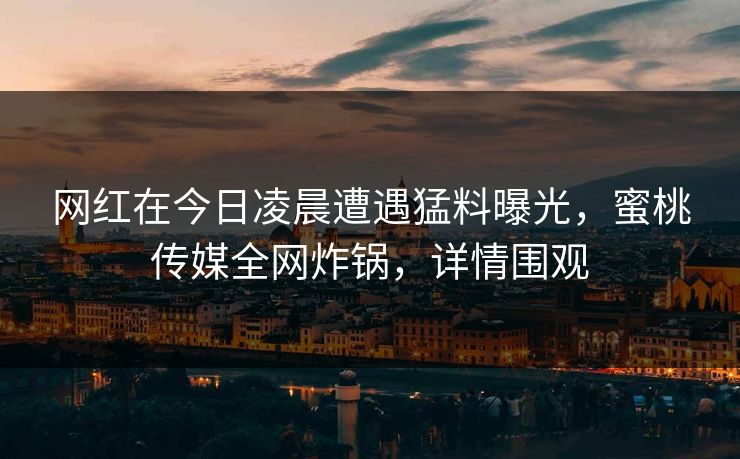 网红在今日凌晨遭遇猛料曝光，蜜桃传媒全网炸锅，详情围观