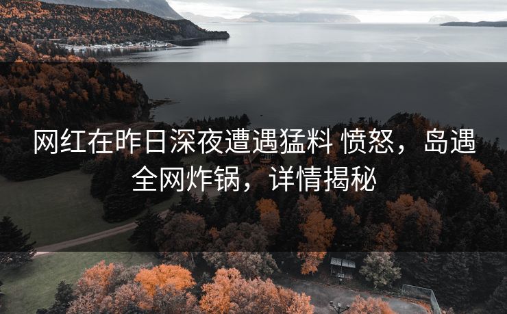 网红在昨日深夜遭遇猛料 愤怒，岛遇全网炸锅，详情揭秘